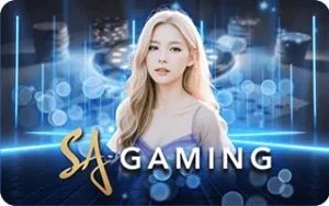 dca365-sa-gaming